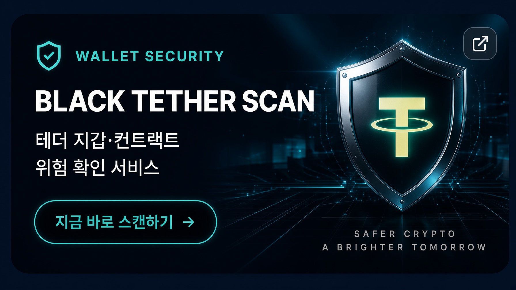블랙 테더 스캔. 지갑 보안 상태를 바로 점검합니다.